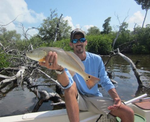 A nice little Redfish caught on fly. on an inshore trip.