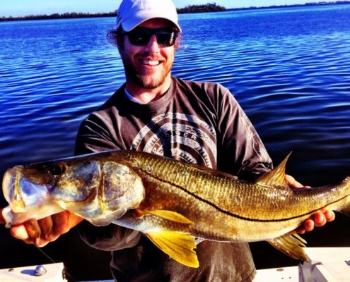 A keeper sized Snook! Caught off of Cortez on live bait.