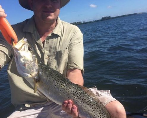 A nice, big Spotted Seatrout. Caught on live bait on and inshore charter.