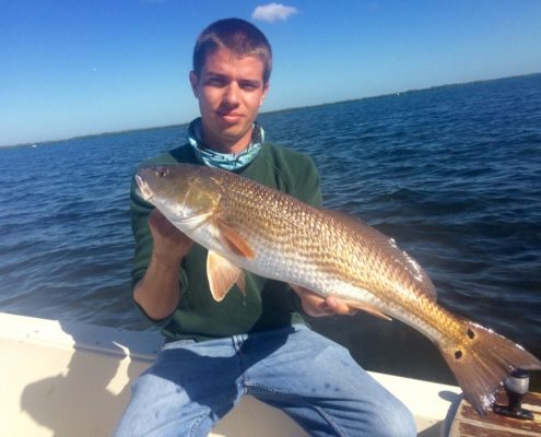 A beautiful Redfish caught in the waters of Palmetto, Florida.