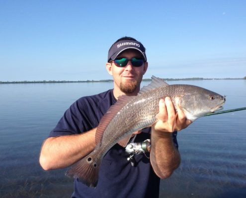 A Redfish caught on a topwater plug in Sarasota Bay.