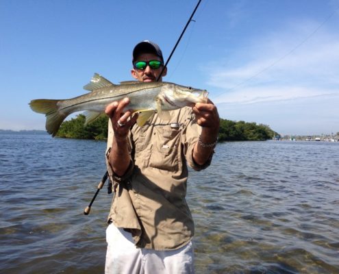 A fun-sized Snook caught off of Cortez on artificial bait.